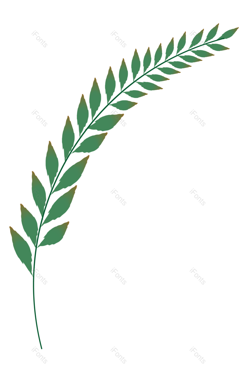 叶子图片,绿叶元素,花草PNG,树叶免抠素材